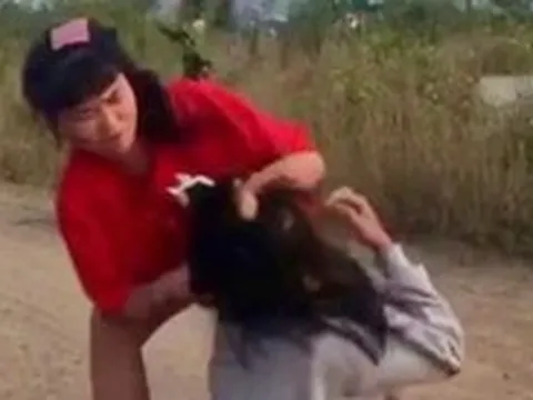 Chủ tịch tỉnh Bình Định yêu cầu chấn chỉnh tình trạng bạo lực học đường