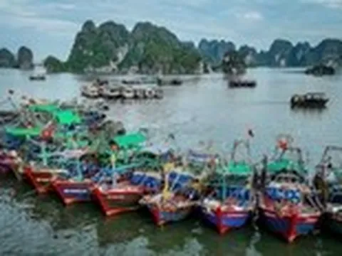 Lệnh cấm đánh bắt cá trên Biển Đông của Trung Quốc đã xâm phạm quyền chủ quyền của Việt Nam