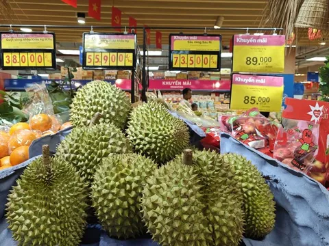 Sầu riêng loạn giá, xuất khẩu giảm sâu