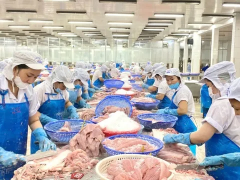 Nước nào tiêu thụ cá tra Việt Nam lớn nhất thế giới?