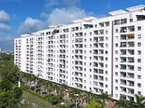Không lập 7.260 tờ hóa đơn, ban quản trị chung cư bị phạt thuế gần 120 tỉ đồng