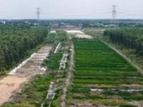 Vành đai 3 TP.HCM: Công trường phía Tây đi chậm chạp chờ cát