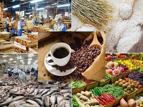 Lộ diện 'ngôi sao' sáng nhất của nông sản Việt Nam