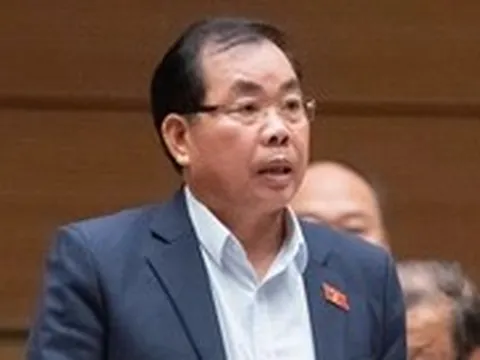 Đại biểu đề xuất HĐND không bầu chức danh chủ tịch UBND