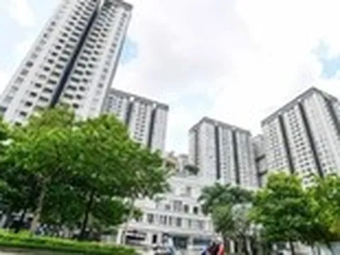 Ban quản trị chung cư không thể là 'tay ngang'