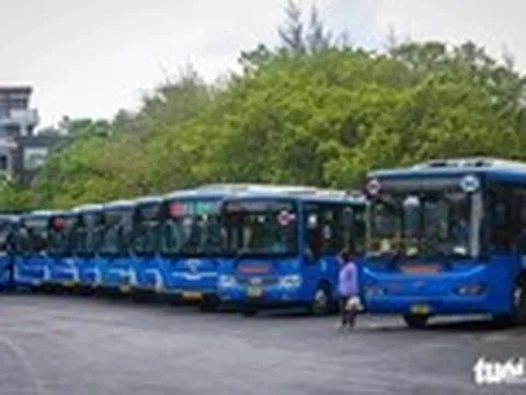 Anh em Tập đoàn Tân Thành Đô muốn đồng loạt 'buông tay' Saigon Bus