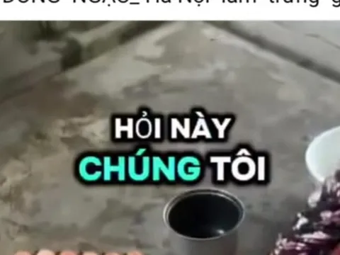 Hiệp hội Gia cầm Việt Nam lên tiếng về thông tin "trứng gà giả"