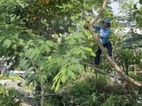 Phát quang, nạo vét tuyến kênh Tân Trụ và Hy Vọng