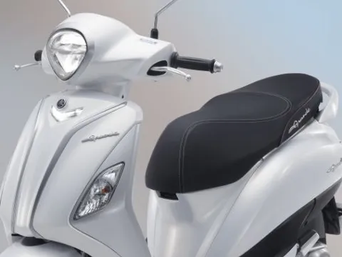 Hai mẫu xe tay ga 'ăn xăng như ngửi' về đại lý Việt: Có mẫu to, đẹp ngang Lead nhưng chỉ 1,6L/100km