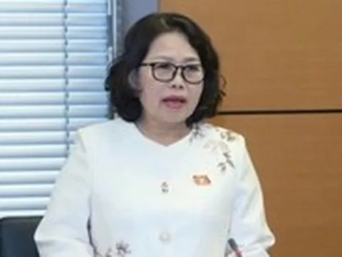 Đại biểu lo tư tưởng 'tỉnh giàu, tỉnh nghèo' gây thiếu công bằng hỗ trợ miễn học phí