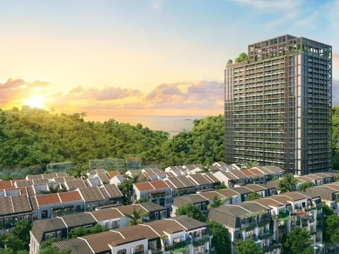 Dự án Sun Group tâm điểm thị trường căn hộ cho thuê tại trung tâm Cát Bà