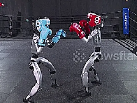 Robot hình người hăng say tập luyện trên võ đài, tung cú đấm như võ sĩ