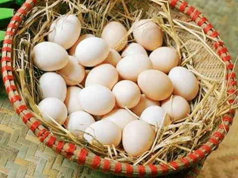 Thực hư thông tin trứng gà ‘lạ’
