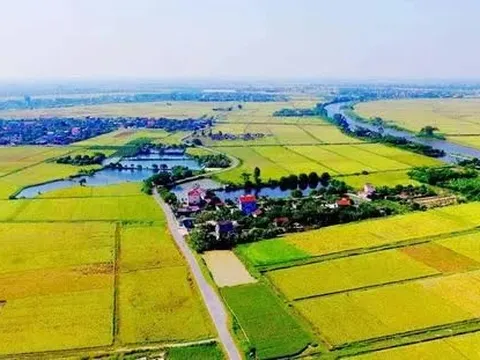 Ngày 30/5, hạn cuối nộp giấy đề nghị gia hạn tiền thuế, tiền thuê đất
