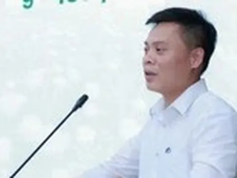 Nhìn loạt dự án điện sạch 'mòn mỏi', chuyên gia chỉ ra rào cản lớn nhất với ngành này