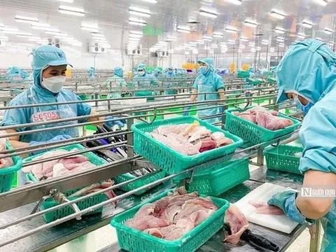 Ngành thủy sản rơi vào “vùng trũng” trong tháng 5/2025