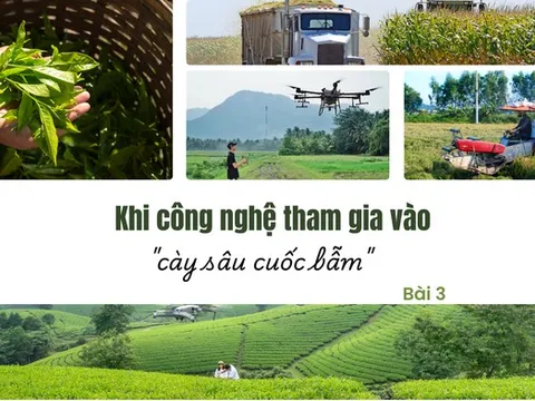 Khi công nghệ tham gia vào "cày sâu cuốc bẫm" - Bài 3: Nông nghiệp hiện đại cần một hệ sinh thái bền vững