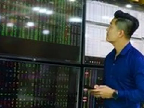 'Cá mập' đang bỏ lỡ cơ hội kiếm tiền từ thị trường chứng khoán?