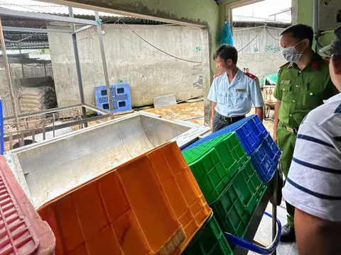 Vụ thịt bẩn C.P: Hình ảnh bất thường là thật, nhưng không bán ra thị trường?