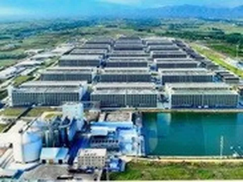 Đề xuất xây hai dự án 'chung cư 6 tầng' nuôi heo đầu tiên tại Việt Nam