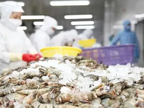 Bất ngờ về thủy sản Việt Nam xuất khẩu
