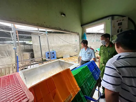 Lùm xùm vụ C.P: Kết quả kiểm tra lò mổ bị 'tố' có heo bệnh