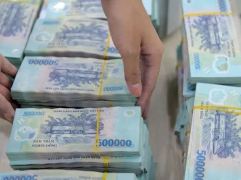Doanh nghiệp bảo hiểm lớn nhất Việt Nam muốn chi gần 800 tỷ trả cổ tức tiền mặt cho cổ đông