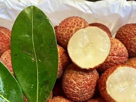 Vải thiều Trung Quốc 'đổ bộ' chợ Việt, giá cao không tưởng