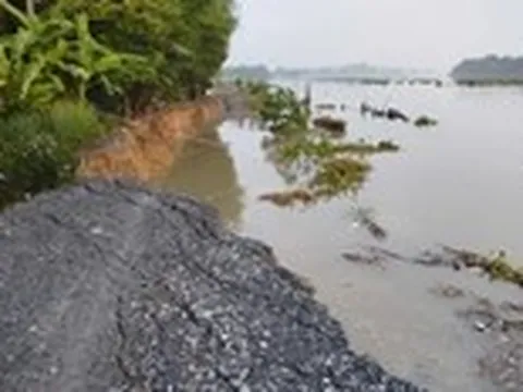 Sạt lở khoảng 70 mét đê bao sông Sài Gòn ở Củ Chi