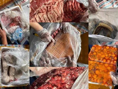 Rùng mình hình ảnh 20 tấn nội tạng bò, gà nấm mốc, bốc mùi hôi thối ém trong container đông lạnh