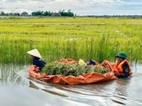 Bộ đội, người dân Huế oằn mình khắc phục mưa lũ