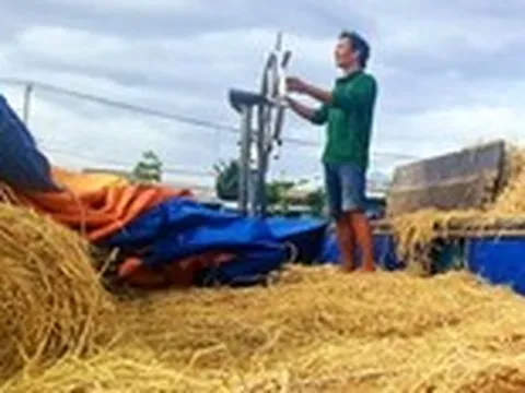 Thương hồ theo những mùa rơm