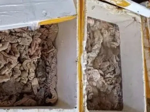 Phát hiện kho hàng tại Đà Nẵng chứa 3,5 tấn thịt, nội tạng bốc mùi đổi màu