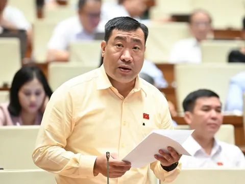 Tránh tình trạng "ôm đất chờ thời" khi miễn thuế đất nông nghiệp