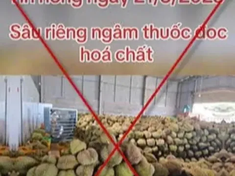 Xử phạt người tung tin 'sầu riêng ngâm hoá chất'
