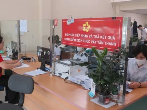 Mở ‘luồng xanh’ cho hoa quả tươi qua Lạng Sơn sang Trung Quốc