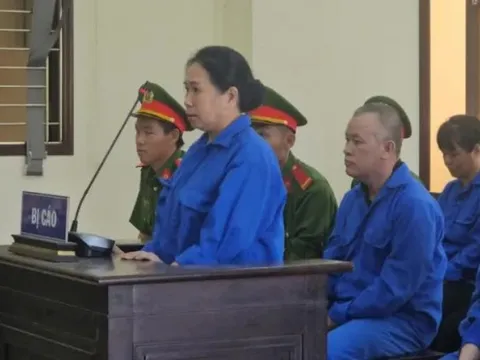 Tráo giấy tờ, giả chủ đất chiếm đoạt 1 tỷ đồng
