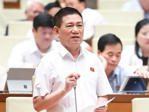 Giữ thuế khoán với hộ kinh doanh có doanh thu dưới 1 tỷ đồng để tránh thiệt thòi