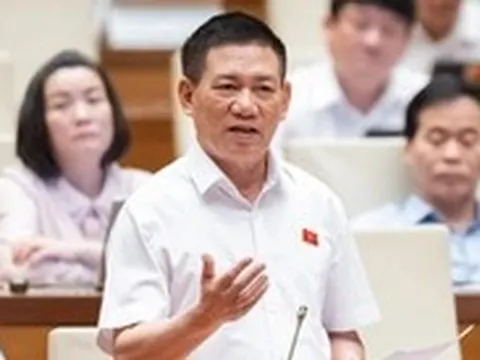 Phó thủ tướng Hồ Đức Phớc: Hộ kinh doanh có doanh thu dưới 1 tỉ đồng nên thu thuế khoán