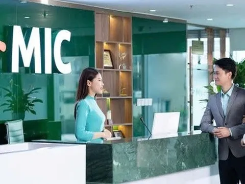 MIC sắp trả cổ tức năm 2024 với tỷ lệ 10%