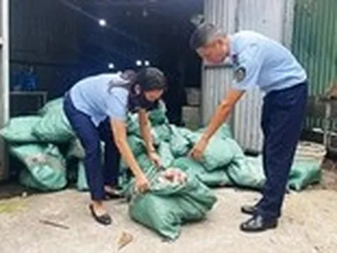 Choáng vì hàng giả tinh vi như hàng thật