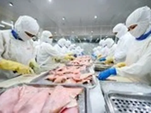 Cá tra Việt Nam nhận tin vui lớn từ Mỹ