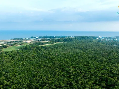 Hồ Tràm: Thủ phủ du lịch mới của TP.HCM và nhân tố mới Maia Resort Ho Tram