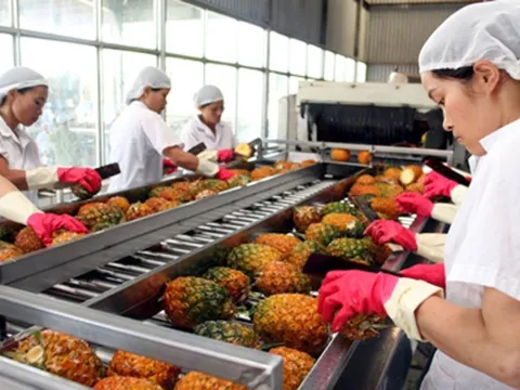 Vì sao Việt Nam tăng nhập khẩu nông sản?