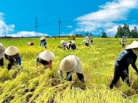 Đưa nông sản Việt vượt bão thuế, hướng tới kim ngạch 65 tỷ USD