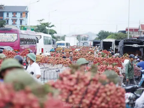 Đi chợ vải thiều Bắc Giang