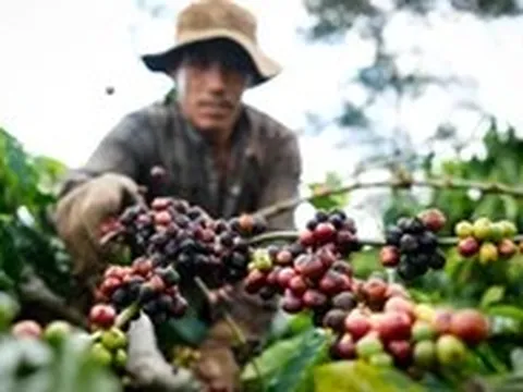 Nếu Mỹ áp thuế 20%, xuất khẩu nông lâm thủy sản ảnh hưởng thế nào?