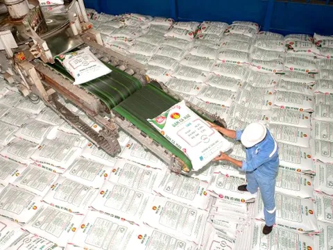 Giá phân bón có thể sắp tăng