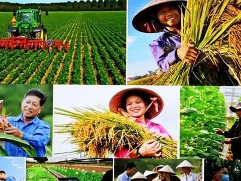 Tin vui cho hàng triệu người dân Việt Nam: Kéo dài thời hạn miễn thuế sử dụng đất nông nghiệp đến hết ngày 31/12/2030