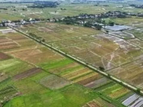 Hàng ngàn tỉ đồng thuế đất mỗi năm tiếp tục được miễn, bà con nông dân yên tâm sản xuất